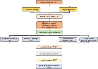 Insight Into Novel Anti-tuberculosis Vaccines by Using Immunoinformatics Approaches